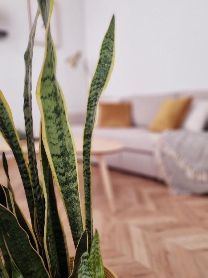 Cozy Apartment In The City Center Гранада Экстерьер фото